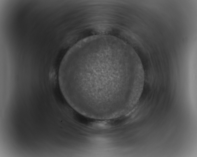 X0000089690086200707121344