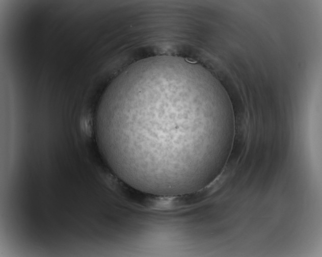 X0000089690090200707121344