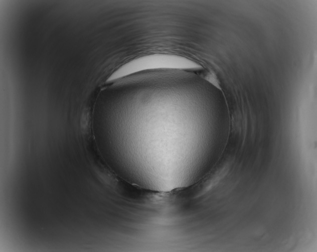 X0000089690092200707121344