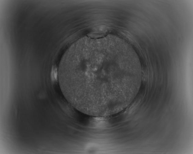 X0000089690095200707121344