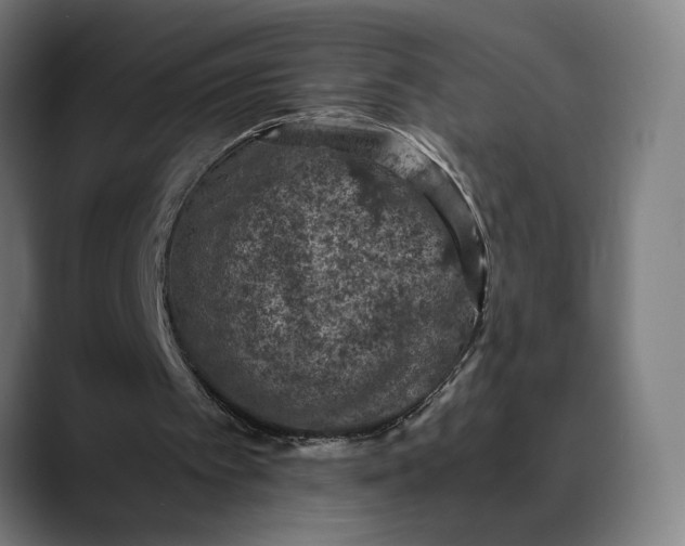 X0000089690097200707121343