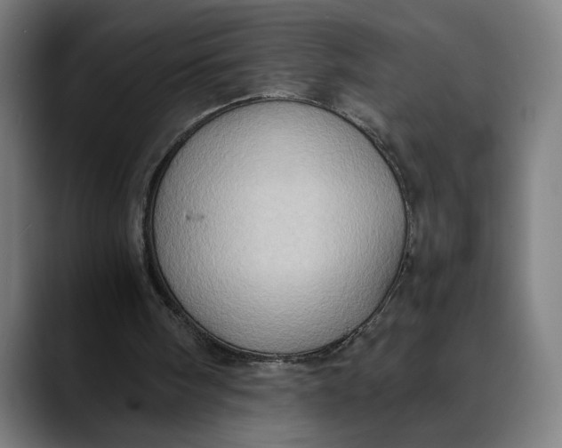 X0000089690098200707121343