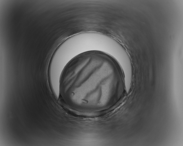 X0000089690099200707121343