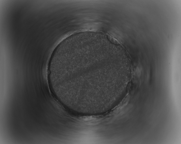 X0000089690100200707121343