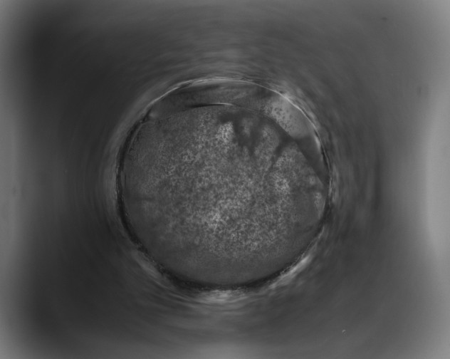 X0000089690101200707121343