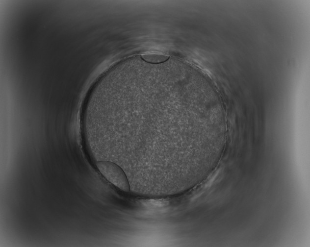 X0000089690102200707121343