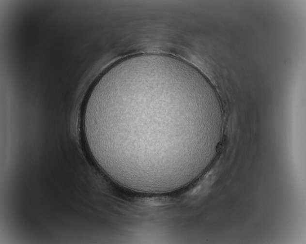 X0000089690103200707121343