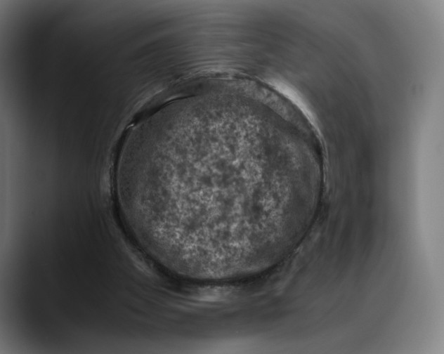 X0000089690105200707121343