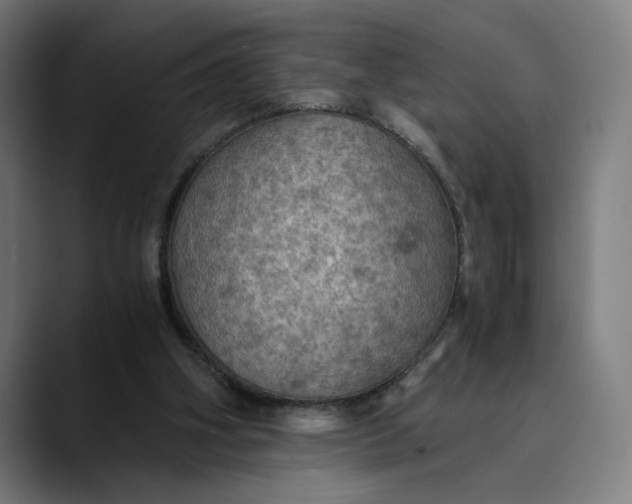 X0000089690106200707121343