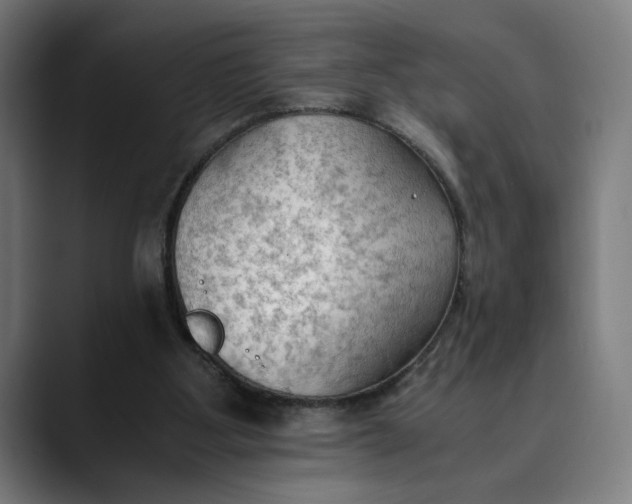 X0000089690107200707121343