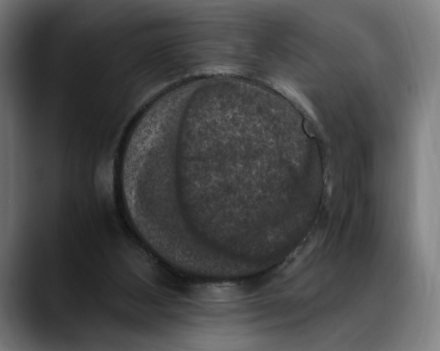 X0000089690108200707121343