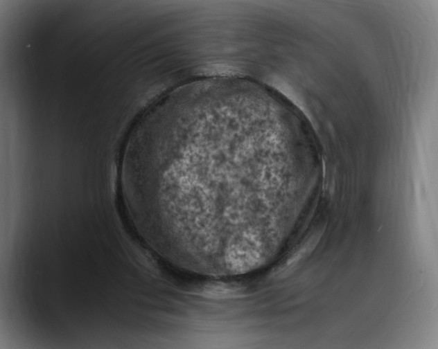 X0000089690109200707121343