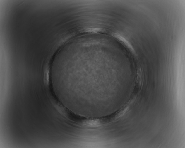 X0000089690110200707121343