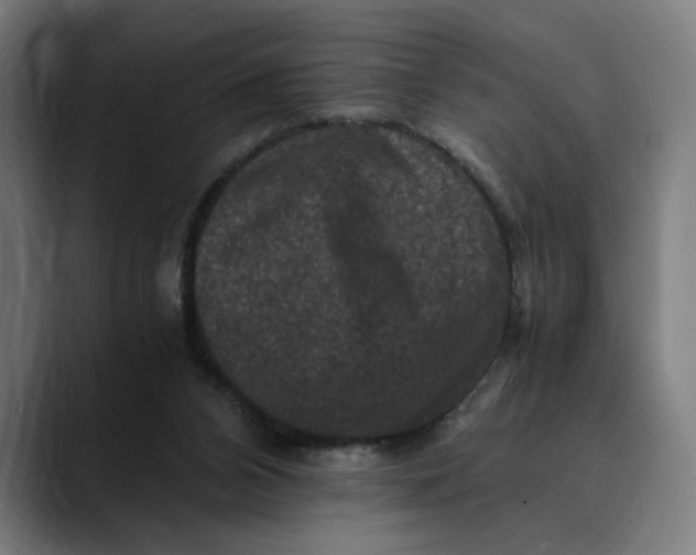 X0000089690112200707121343