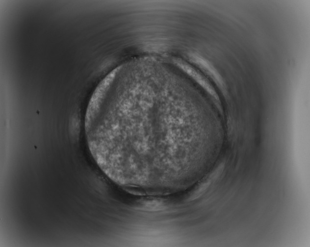 X0000089690113200707121343