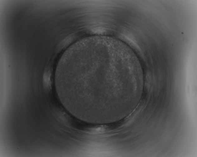 X0000089690116200707121343