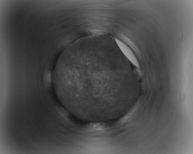 X0000089690117200707121343