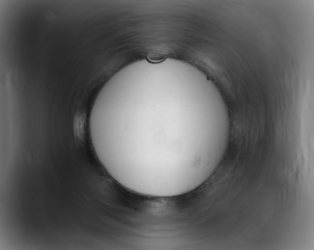 X0000089690118200707121343