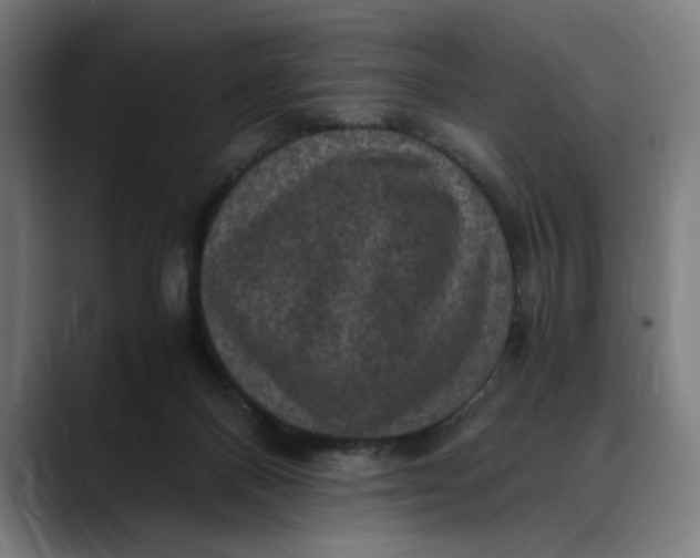 X0000089690120200707121343