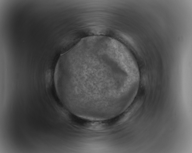 X0000089690121200707121343