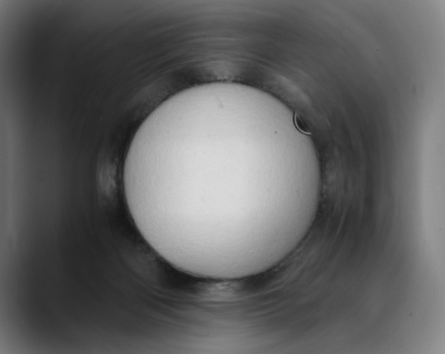 X0000089690122200707121343