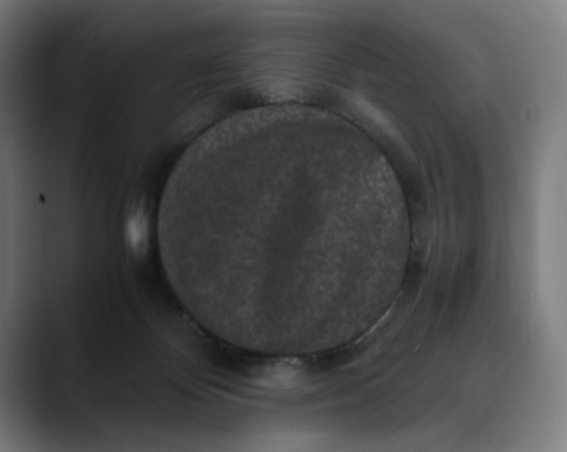 X0000089690124200707121343