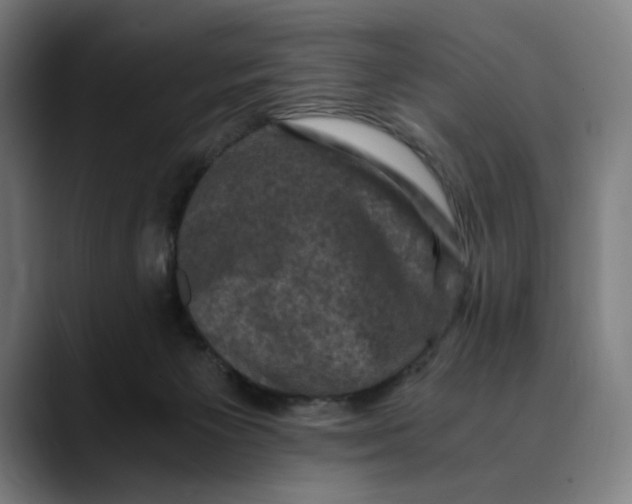 X0000089690125200707121343