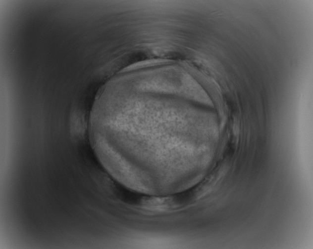 X0000089690129200707121343