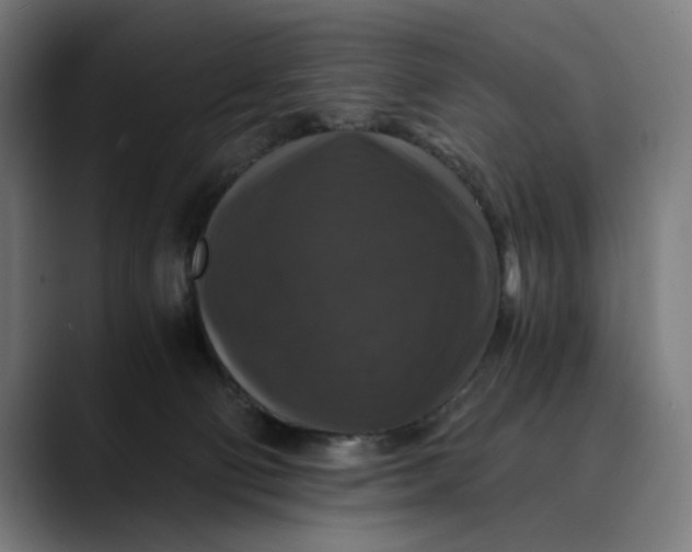 X0000089690130200707121343