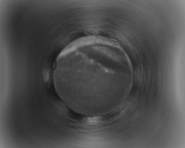 X0000089690134200707121343