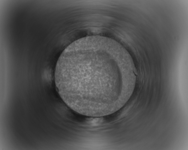 X0000089690135200707121343