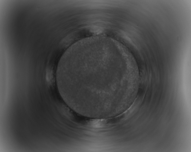 X0000089690136200707121343