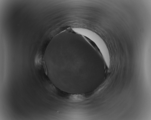 X0000089690137200707121343