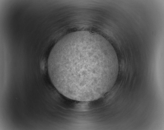 X0000089690138200707121343