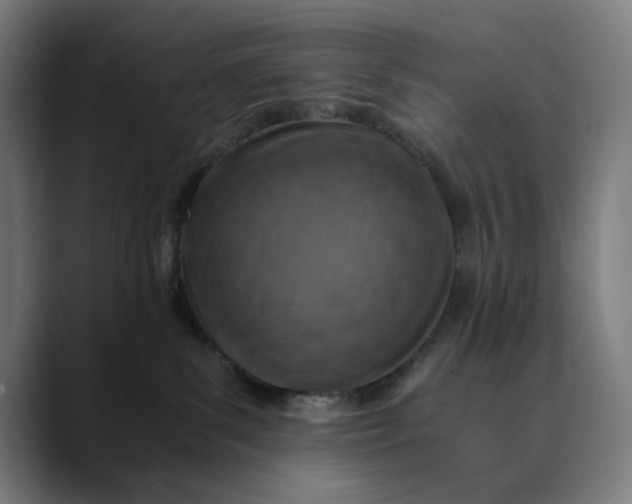 X0000089690139200707121343