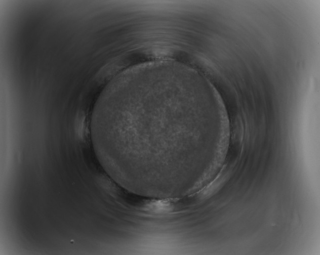 X0000089690140200707121343