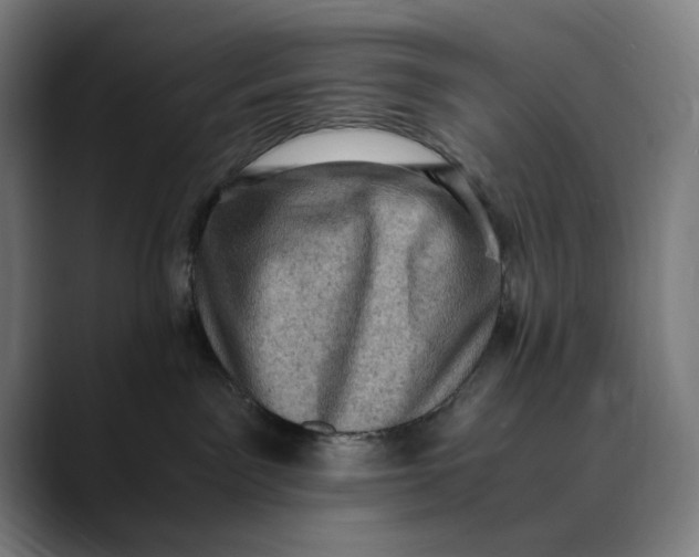 X0000089690141200707121343