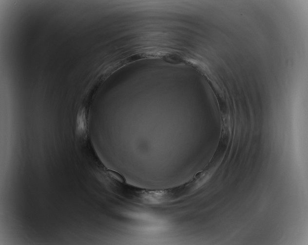 X0000089690143200707121343