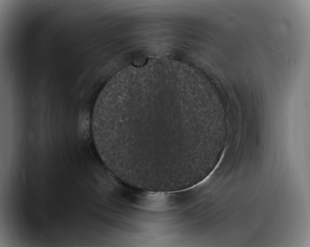 X0000089690144200707121343