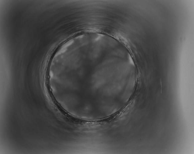 X0000089690145200707121342