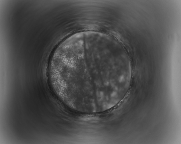 X0000089690146200707121342