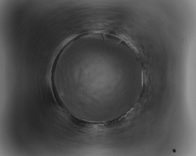 X0000089690147200707121342