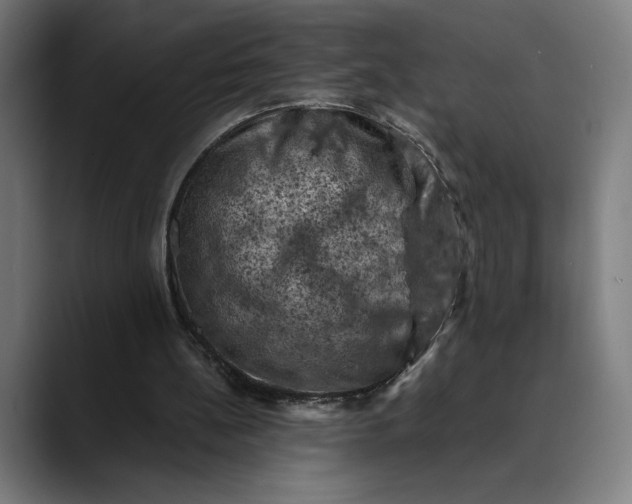 X0000089690148200707121342