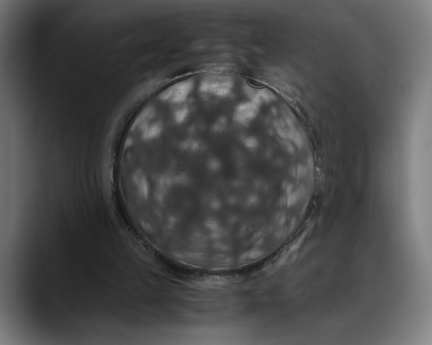 X0000089690149200707121342