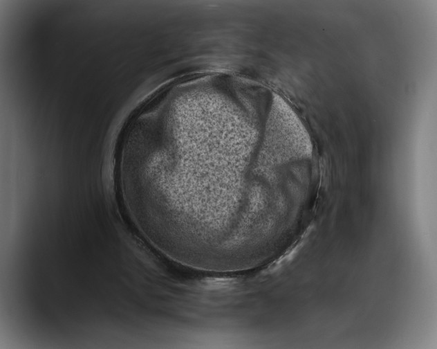 X0000089690150200707121342