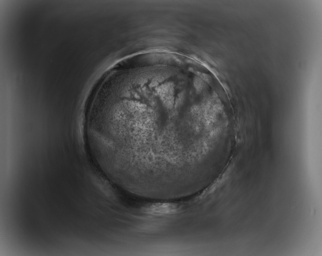 X0000089690152200707121342