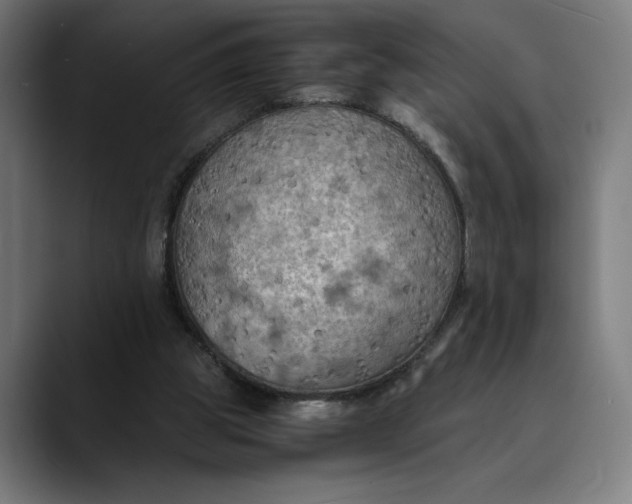 X0000089690153200707121342