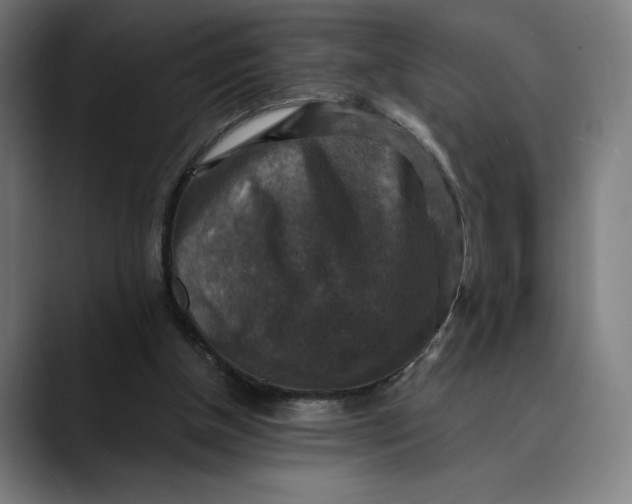 X0000089690154200707121342