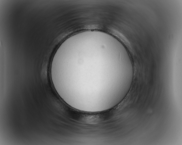 X0000089690155200707121342