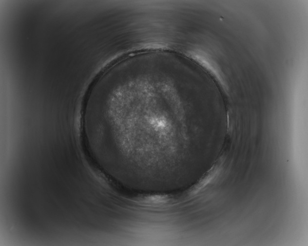 X0000089690156200707121342